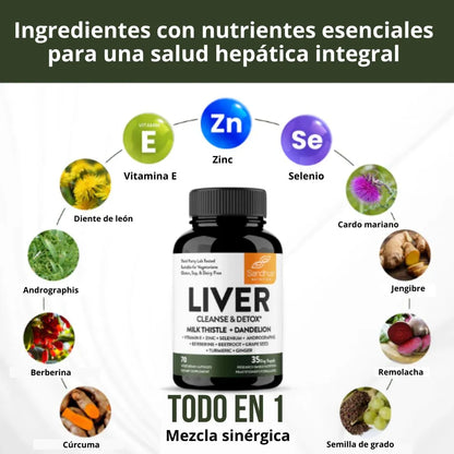 LIVER SUPLEMENTO HEPATICO